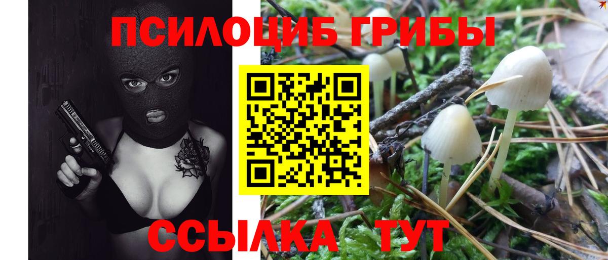 Галлюциногенные грибы GOLDEN TEACHER  Вход с VPN  Минусинск 