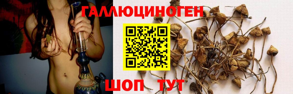 Галлюциногенные грибы MAGIC MUSHROOMS Минусинск